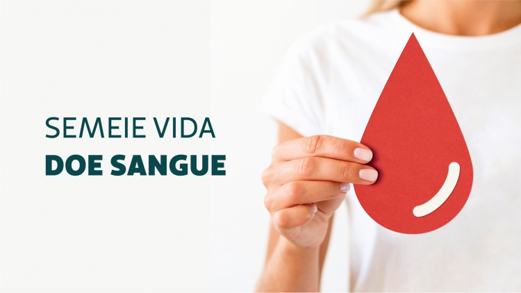 Mitos E Verdades Sobre A Doa O De Sangue